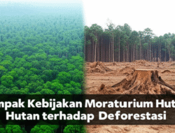 Dampak Kebijakan Moratorium Hutan terhadap Deforestasi