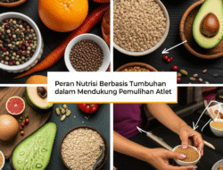 Peran Nutrisi Berbasis Tumbuhan dalam Mendukung Pemulihan Atlet
