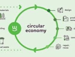 Tren Ekonomi Circular Economy Menjadi Fokus Perusahaan di Indonesia