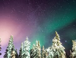 Menikmati Aurora Borealis Tromsø dengan Liburan Seru