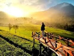 Wisata Alam Pegunungan Menjadi Pilihan Liburan Keluarga Tahun Ini