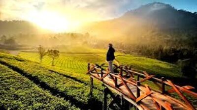 Wisata Alam Pegunungan Menjadi Pilihan Liburan Keluarga Tahun Ini
